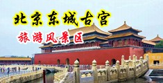 轮奸淫荡性爱中国北京-东城古宫旅游风景区